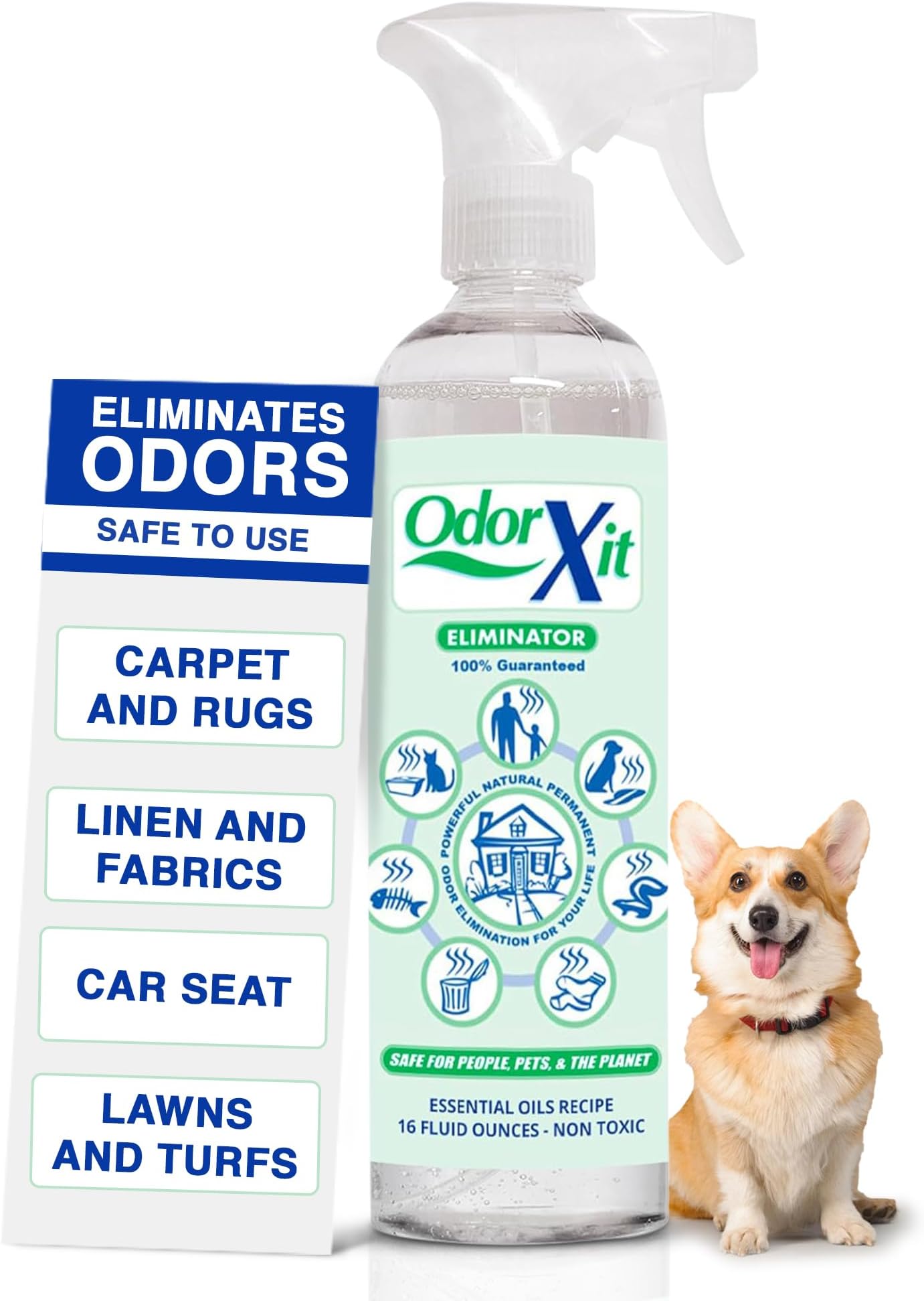 OdorXit Odor Xit Odor Eliminator - 16 Oz Ready to Use Spray Bottle