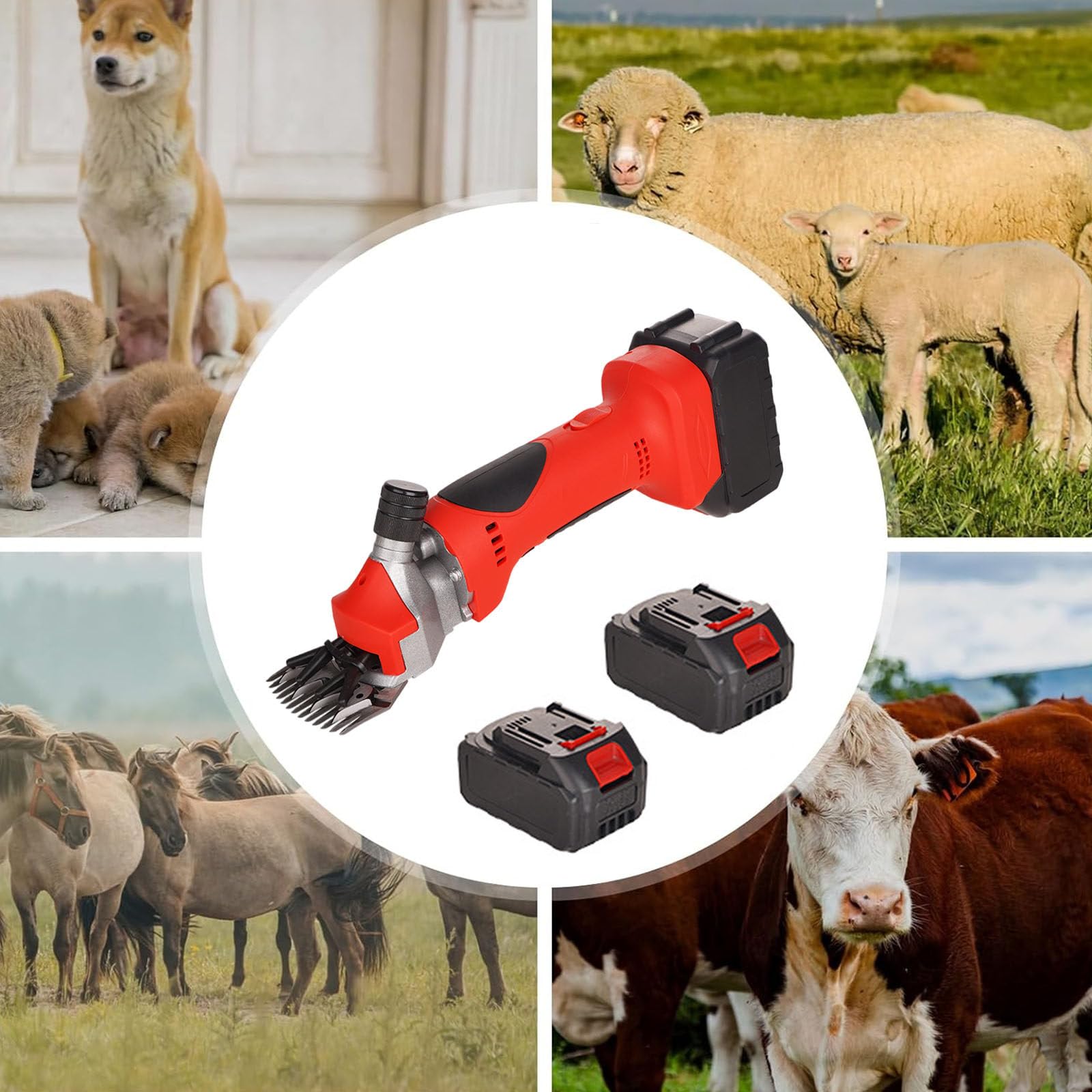 Forbici per Pecore Elettriche Professionali Senza Fili, Lame Dritte, 2 Batterie Ricaricabili, Tosatrici per Toelettatura di Animali per Pecore, Alpaca, Capre, Cavalli, 2800 Giri/Min,13Tooth