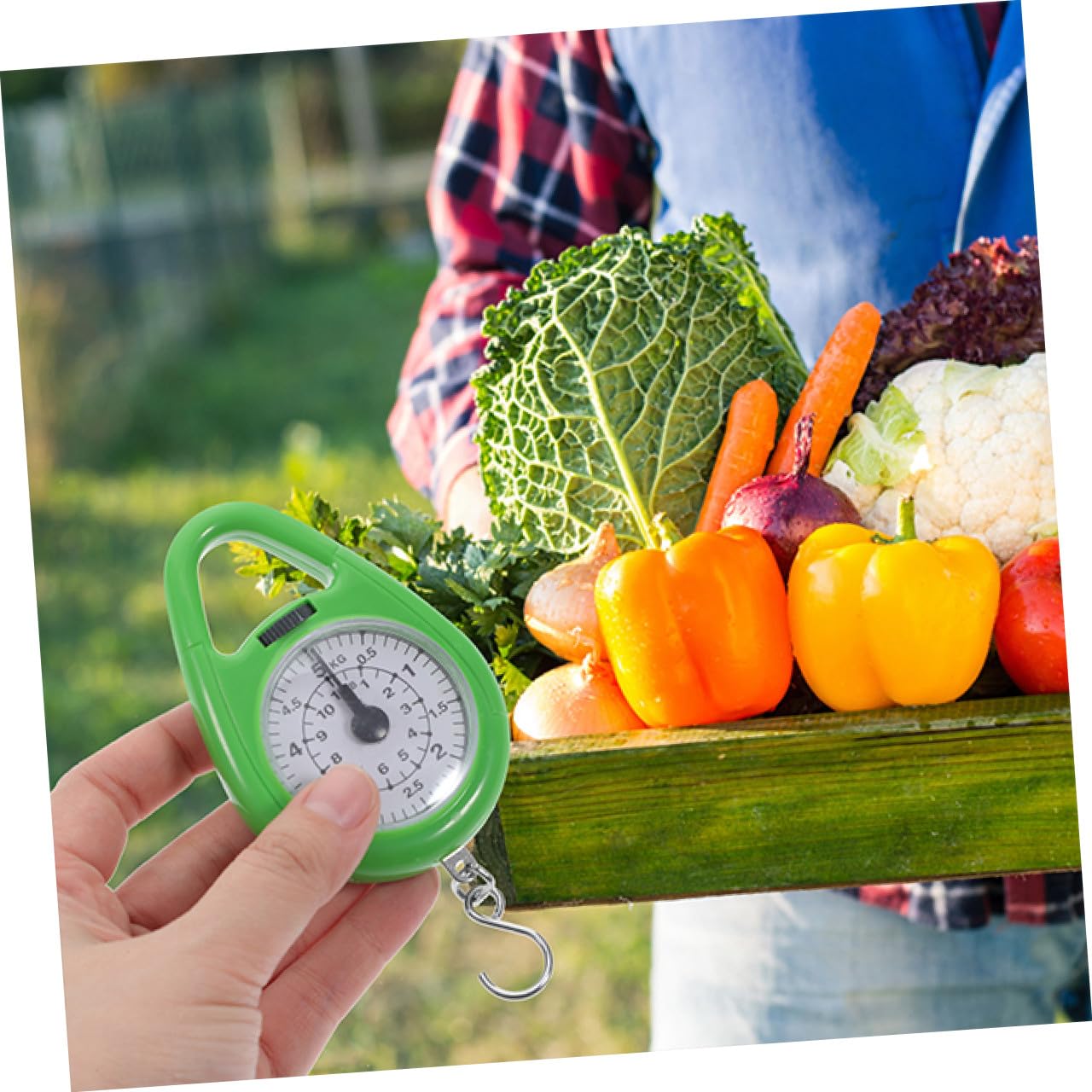 Luggage Scale Portable Gram Scale Ideal for Travel and Shopping Random Color