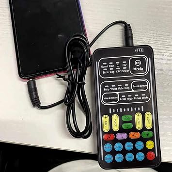 Flylin Portable Handheld Microphone Voice Changer 16 Effects for Gaming
