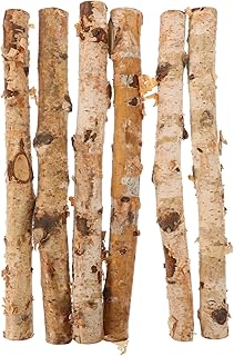 6pcs Natural Birch Wood Sticks for Crafts Thin Branches for Floral Arrangements Home Decor and Creative Projects Versatile Decorative Logs for Crafting Needs