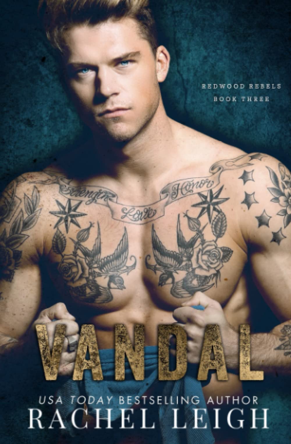 Vandal: An MM Bully Romance: 3 (Redwood Rebels)