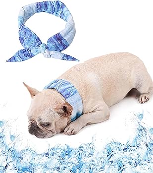 ☆クールリング 犬 ネッククーラー 暑さ対策 冷え首輪 冷感 クールネック Amazon | PetGround犬 夏 クールネック 冷たい首輪 接触冷感 首