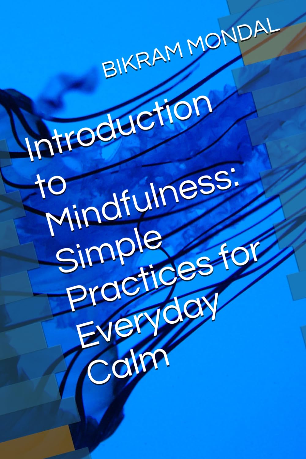 Introduction to Mindfulness: Simple Practices for Everyday Calm