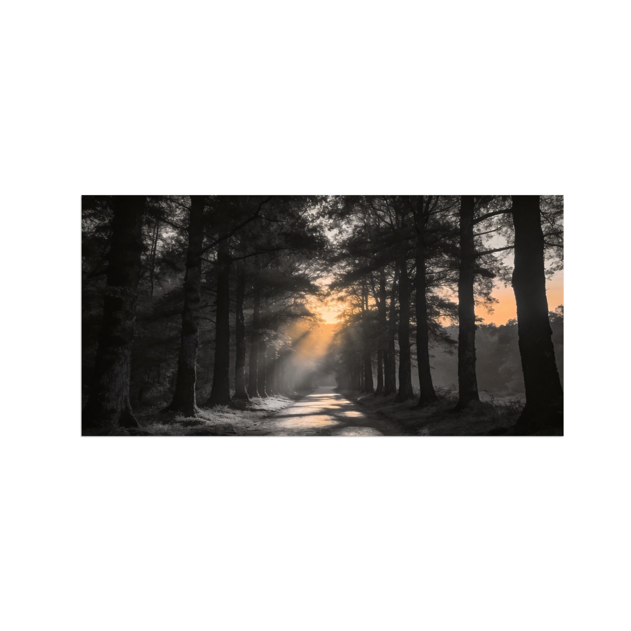 OZPWBVY Black and White Landscape Print Painting-Forest Sunset 2-Minimalist Canvas Wall Art Picture for Home Decor 16x31in 40x80cm Unframed