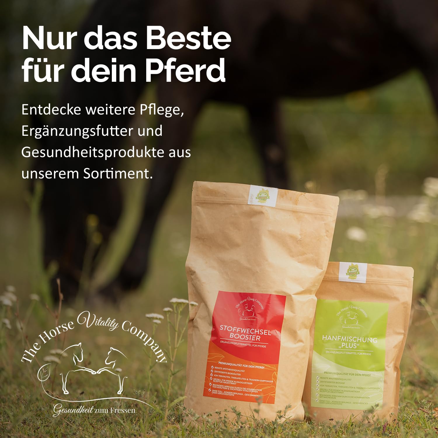 The Horse Vitality Company Stoffwechselbooster für Pferde 2 kg Pulver | Mischung aus Kräutern, Zink & Magnesium | Fellwechsel, Immunsystem & Vitalität | 100% natürlich | Made in Germany