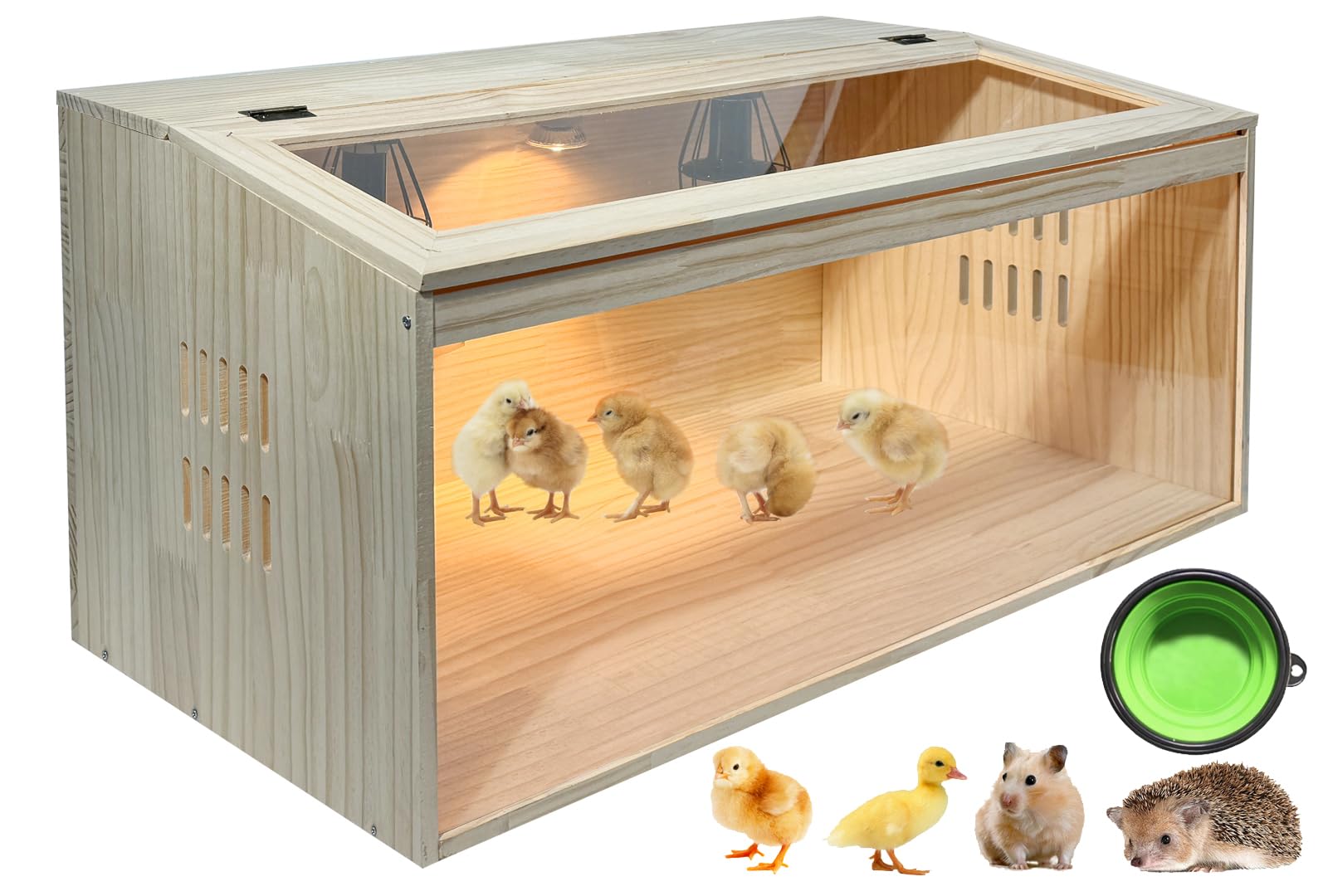 Caja grande de 20 piezas para criar pollos, caja de incubadora todo en uno, para pollitos, codorniz, hámsters, capacidad de hasta 35 pollitos, patrón B, 32 pulgadas de largo x 16 pulgadas de ancho x