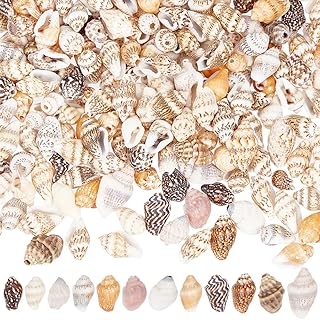 400 Pcs Natural Shell Beads, Spiral Shell Beads Hole 1mm Conch Trinket Fish Tank Aquarium Ornaments Summer Beach Small Seashells for Jewelry Making DIY Crafting - Buy now