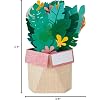 Product Photo 8