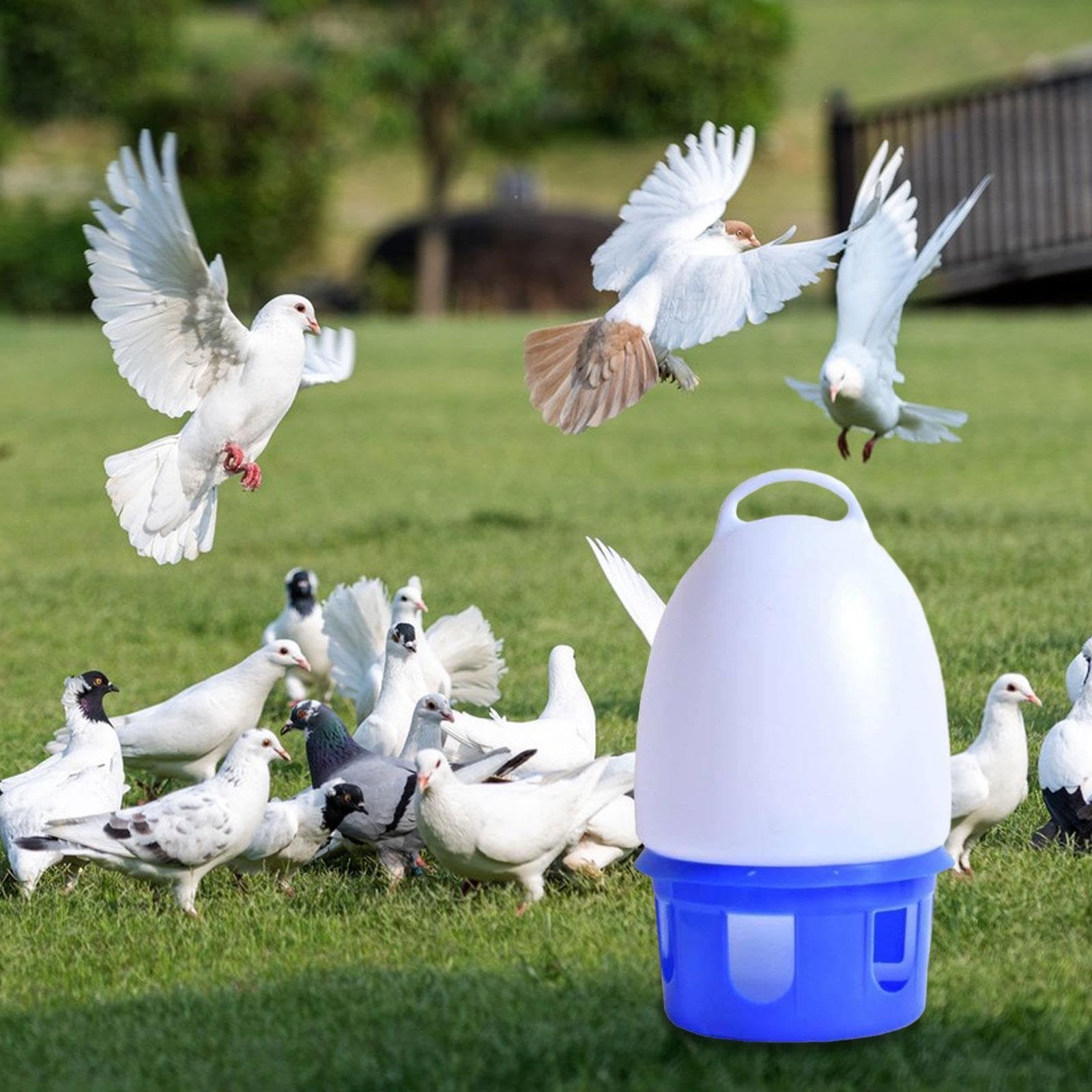 Taubentränke – Einfach Aufzuhängende Vogeltränke für Unzertrennliche, 12l Großer Griff