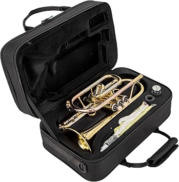 aurousus bb cornet acr 8330 for beginners intermediate players stainless steel valves ml bore gold brass leadpipe 120mm bell lacquered lightweight durable