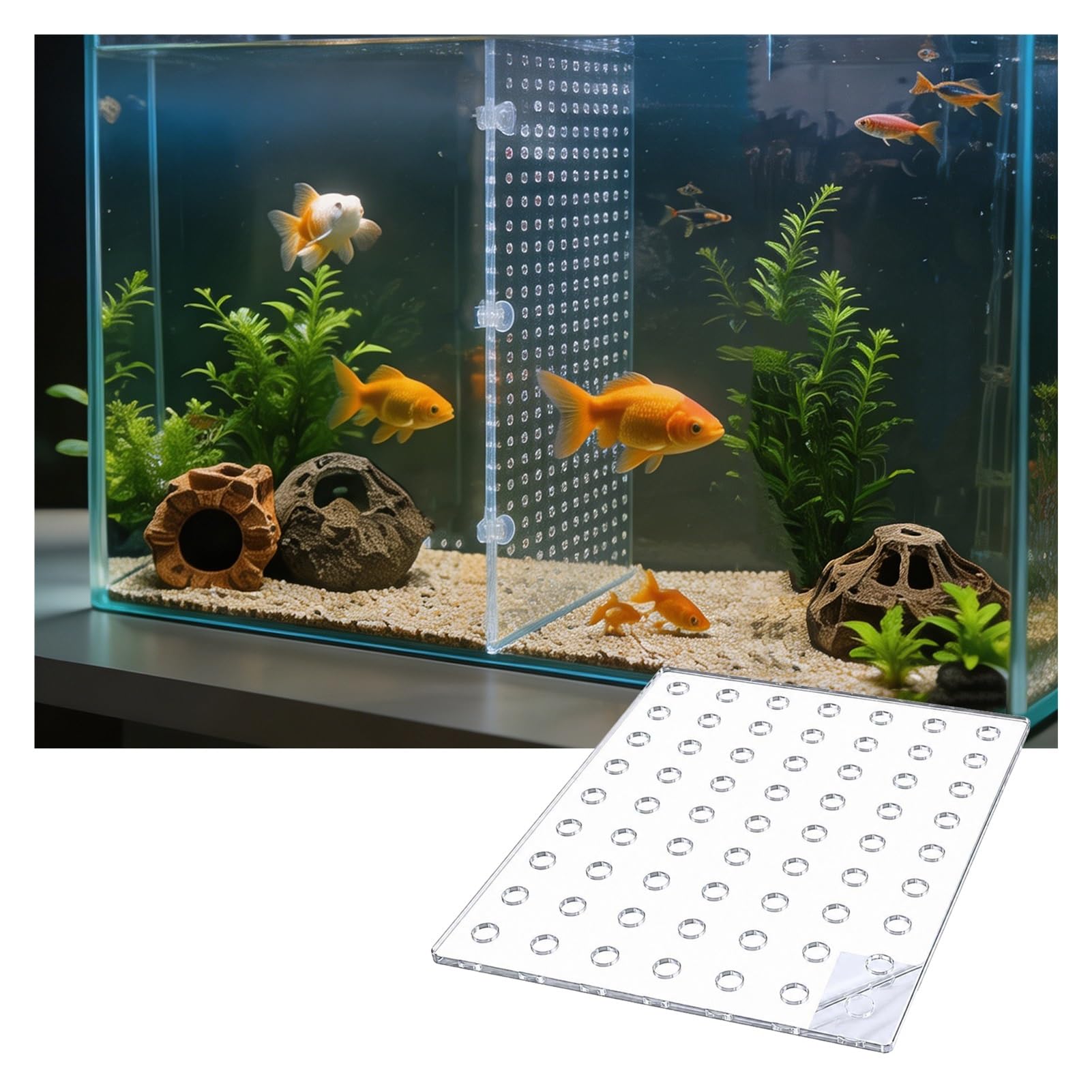 Séparateur D'Aquarium Acrylique Transparent avec Ventouses, Cloison 5mm pour Alevins Et Poissons Blessés(30x40cm)