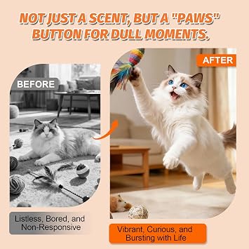 PAW PLANET 2.8 fl oz Catnip Spray with Silvervine, 95%+ Response Rate