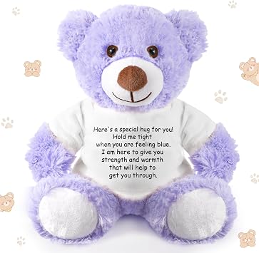 Lenwen a Bear Hug Gift Get Well Soon Sympathy for Women Plush Stuffed Animal Hug Thinking of You Condolences Memorial Loved PresentPurple,Bear