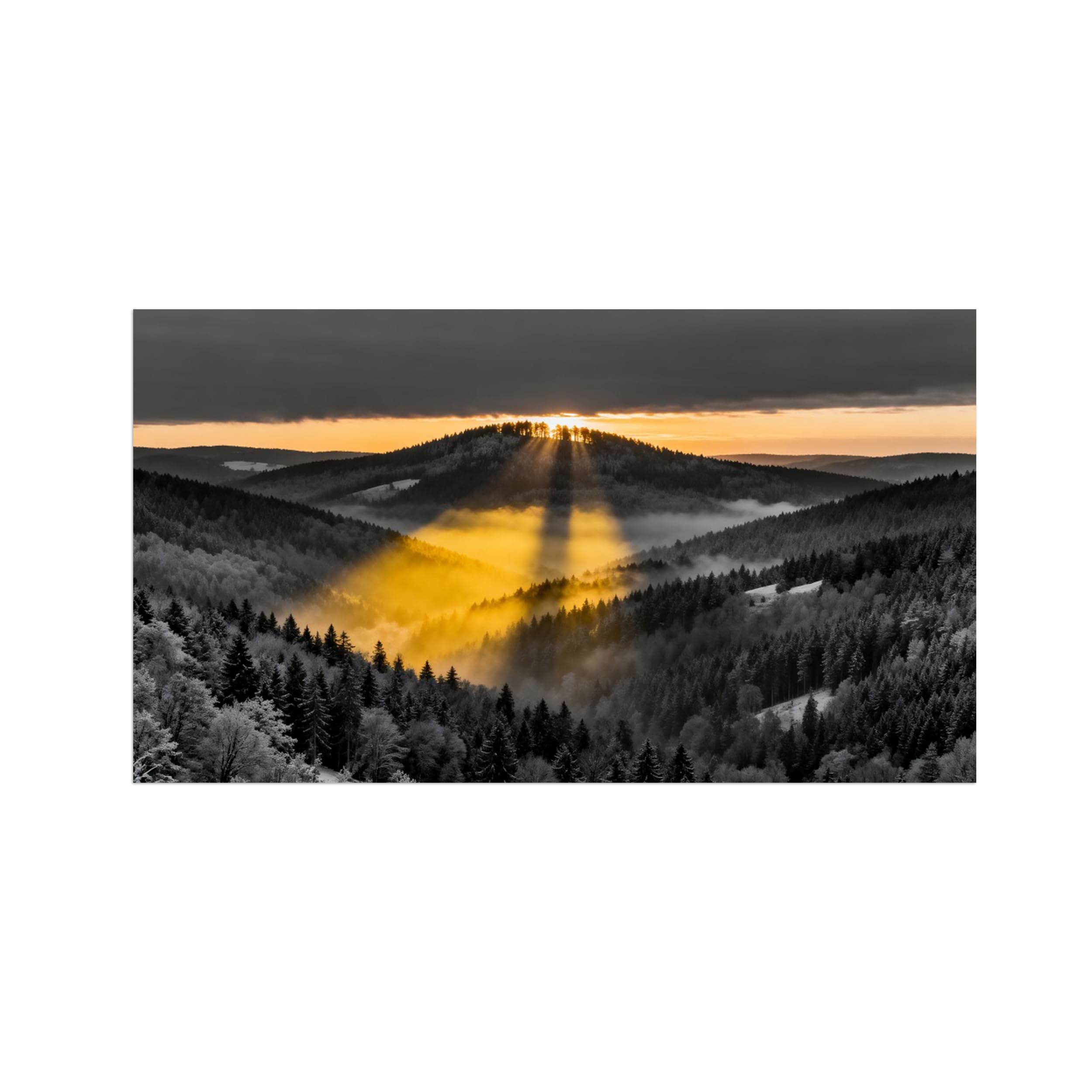 OZPWBVY Black and White Landscape Print Painting-Forest Sunset-Minimalist Canvas Wall Art Picture for Home Decor 20x35in 50x90cm Unframed
