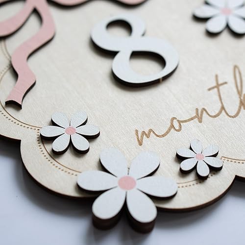 Miniatura 7 de Señal de hito mensual para bebé, hito mensual del bebé de 1 a 12, hito del mes para bebé, hito del mes del bebé, accesorios de fotografía para