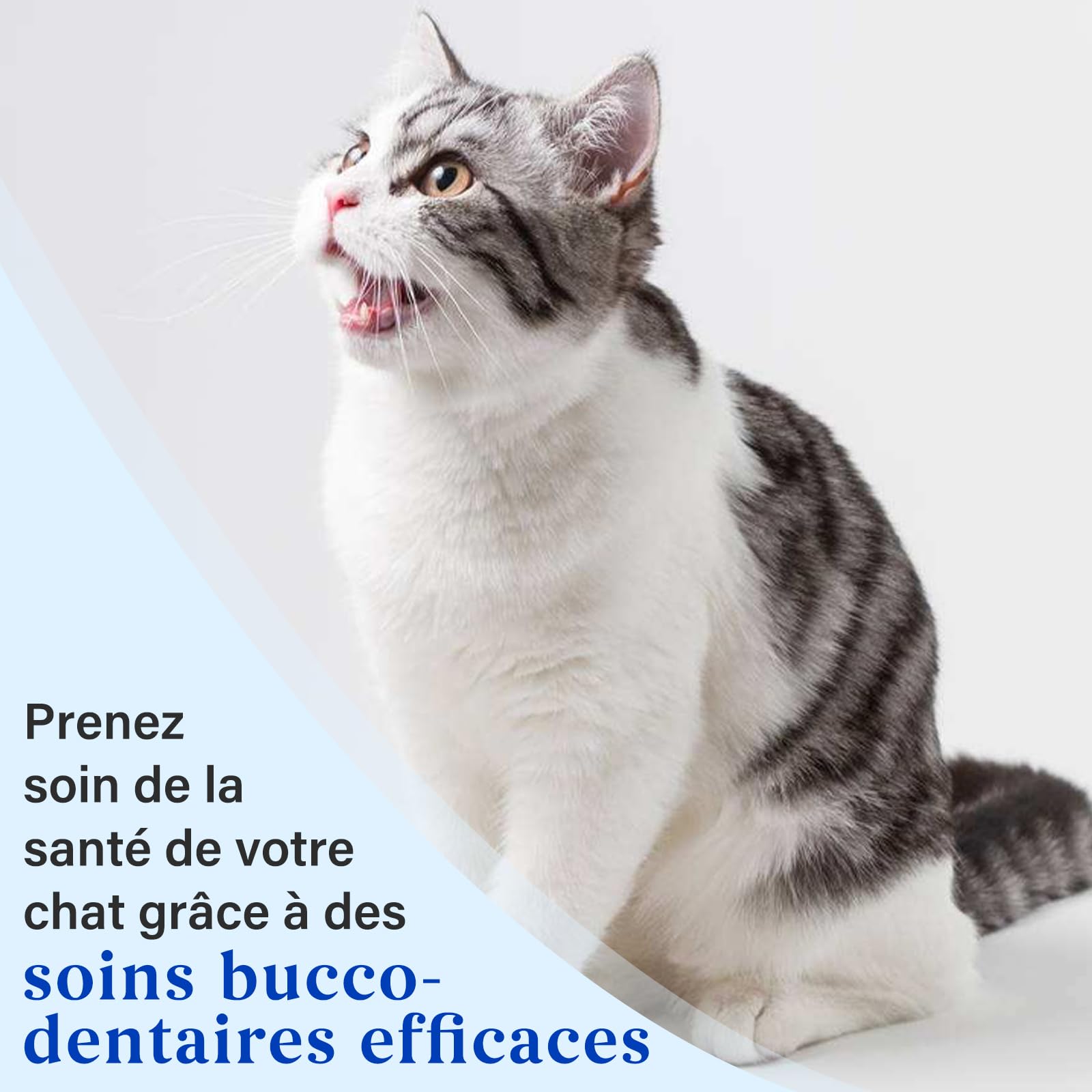 Dentifrice Chat, Goût de Thon, Inclus Brosse à Doigts et Brosse à Dents à Poils Souples, Formule douce pour haleine fraîche et soins dentaires, 30g