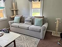 Review Image by Courtney M. Barnes