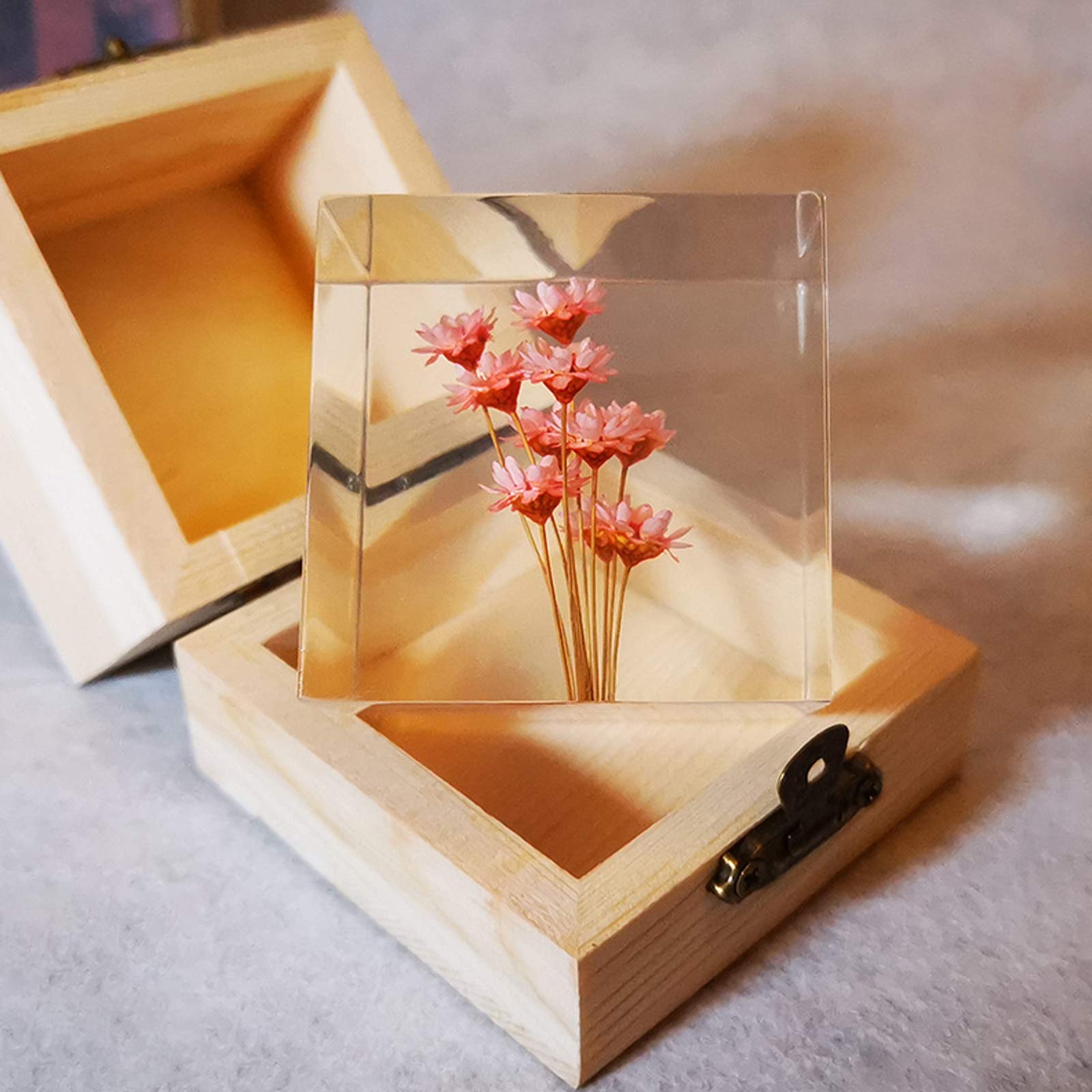 Amazon.co.jp: 植物標本,植物樹脂標本,生物学的教育,DIY お花,ンテリア