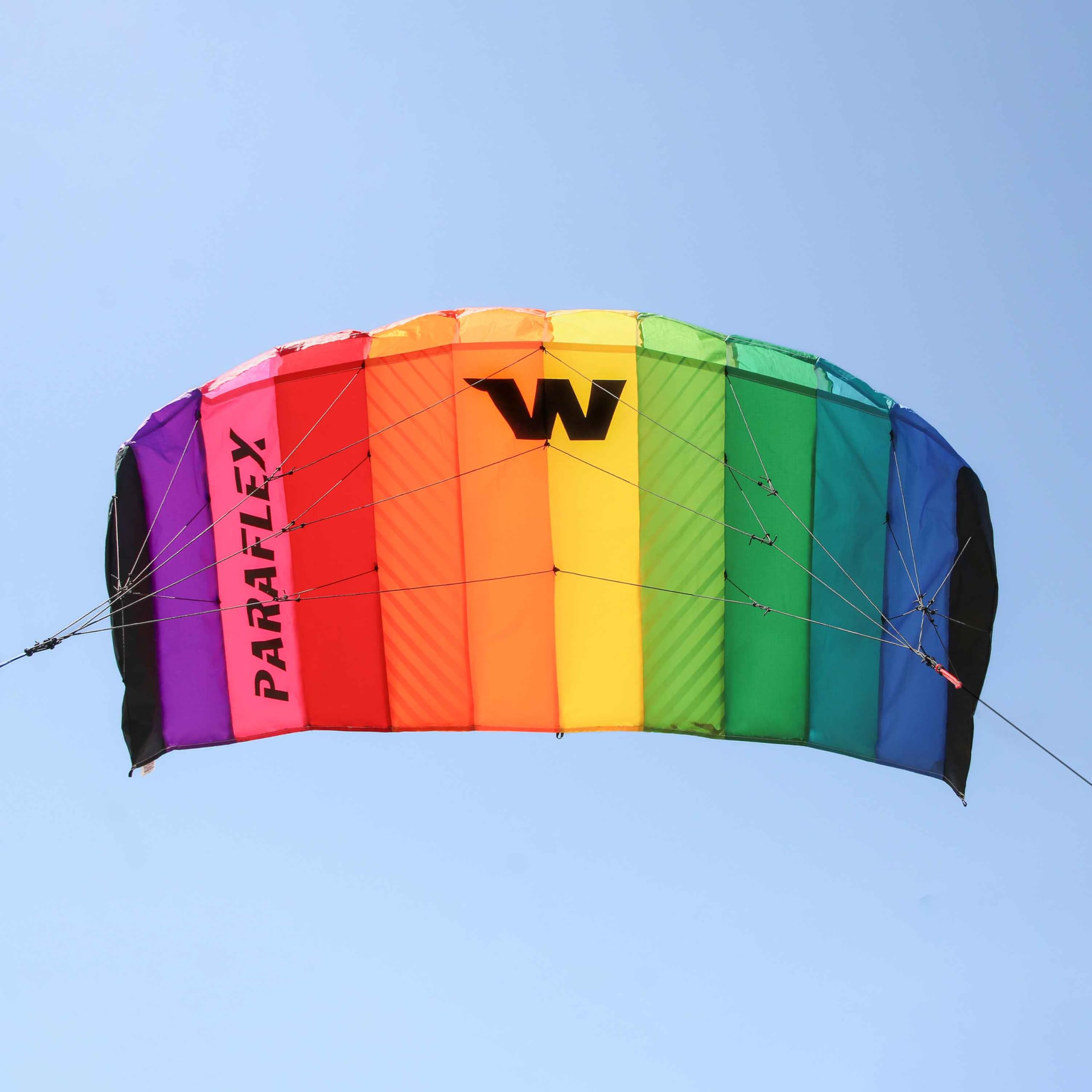 Wolkenstürmer Paraflex Basic 1.2 tappeto volante, Flame - kite a 2 linee per principianti
