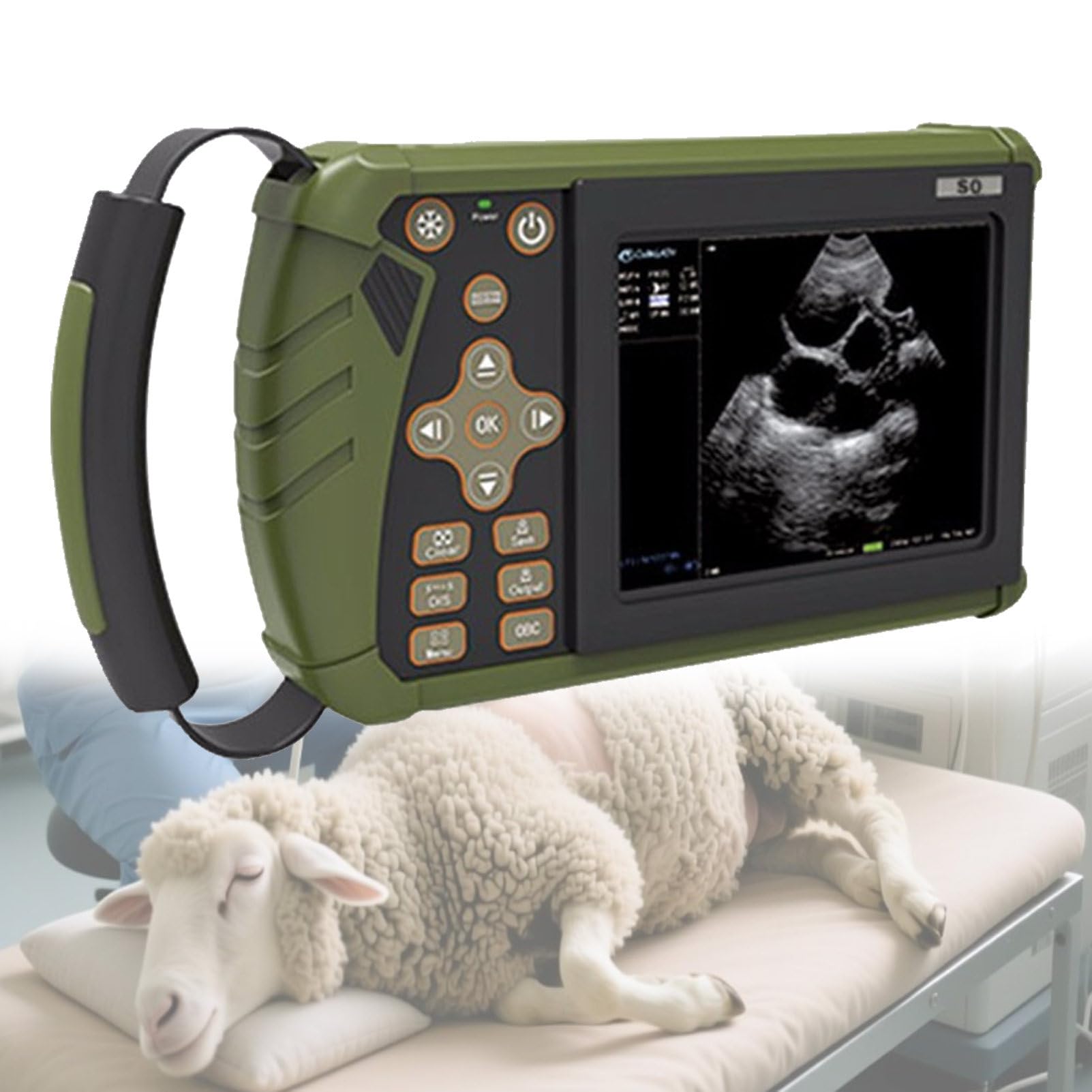 Macchina veterinaria di ultrasuono, strumento diagnostico portatile di gravidanza con sonda 3.5MHz per uso con maiali, pecore, cani e gatti