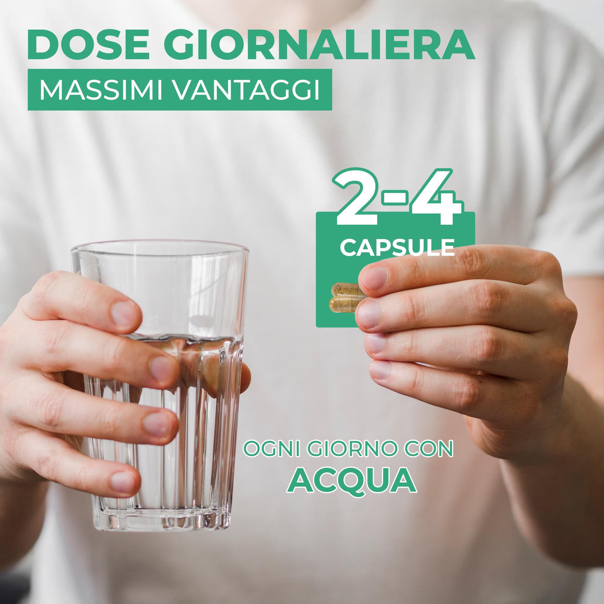 ORBIS RESET Integratore Naturale per Uomo | Integratore per la Regolazione Cardiaca con Bromelina, Curcuminoids e Boswellia Serrata | Favorisce la Circolazione e Riduce l'Infiammazione | 120 Capsule