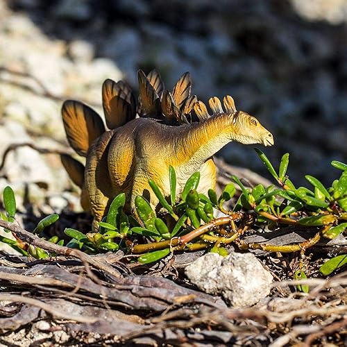 Miniatura 7 de Safari Ltd. Stegosaurus - Figura icónica modelo de dinosaurio de 8.5 pulgadas, juguete divertido y educativo para niños, niñas y niños a partir de 3