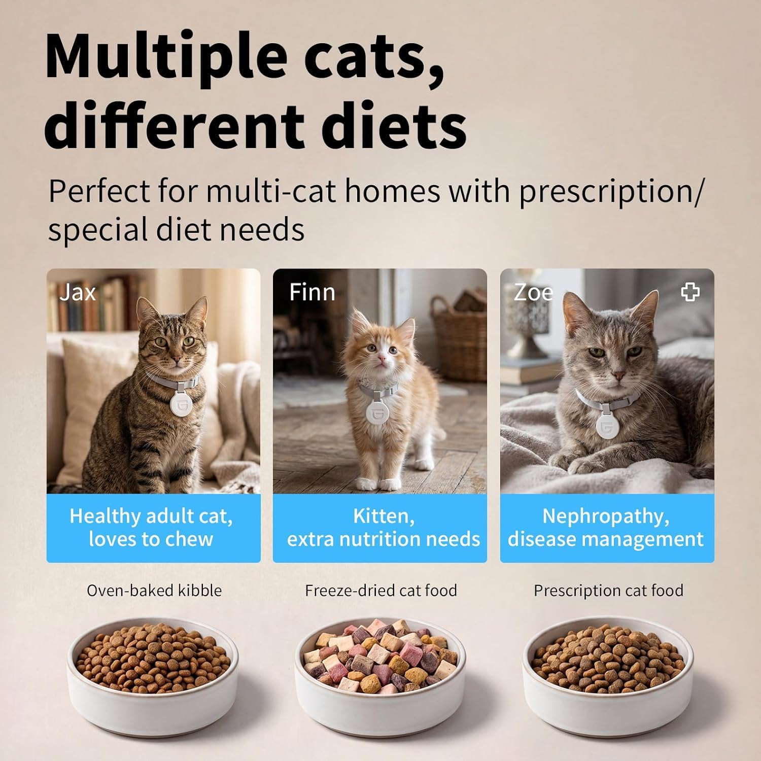 HoneyGuaridan RFID 5G WiFi Distributore Automatico Cibo Gatti, 4.6L Dispenser Crocchette Gatto con Pasti Personalizzati Attivati dal Collare, Monitoraggio Dietetico e Antifurto, Ciotola in Ceramica