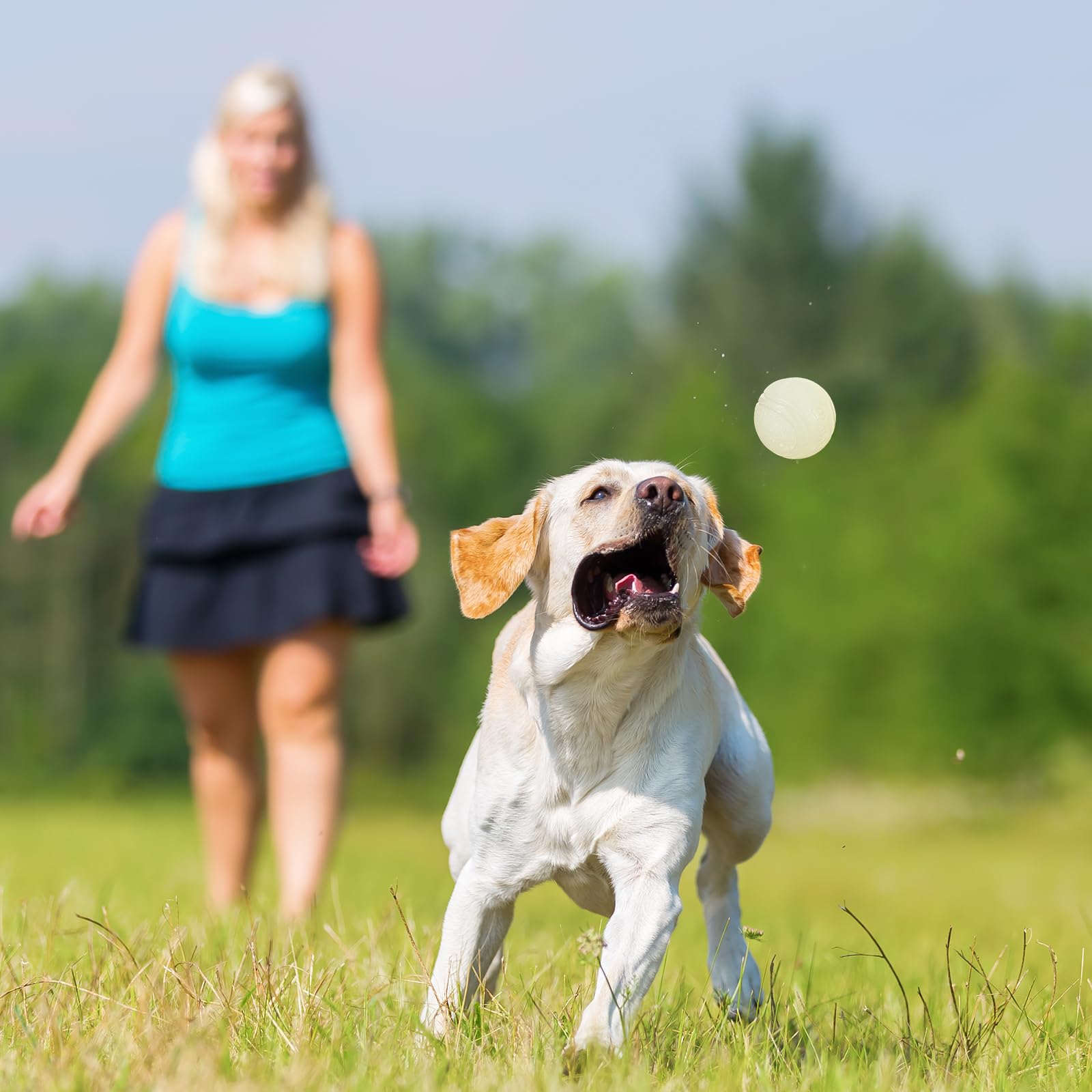 QKURT 4 Stück Glow Ball, Glow In The Dark Hundebal Produktbild-Vorschau 4