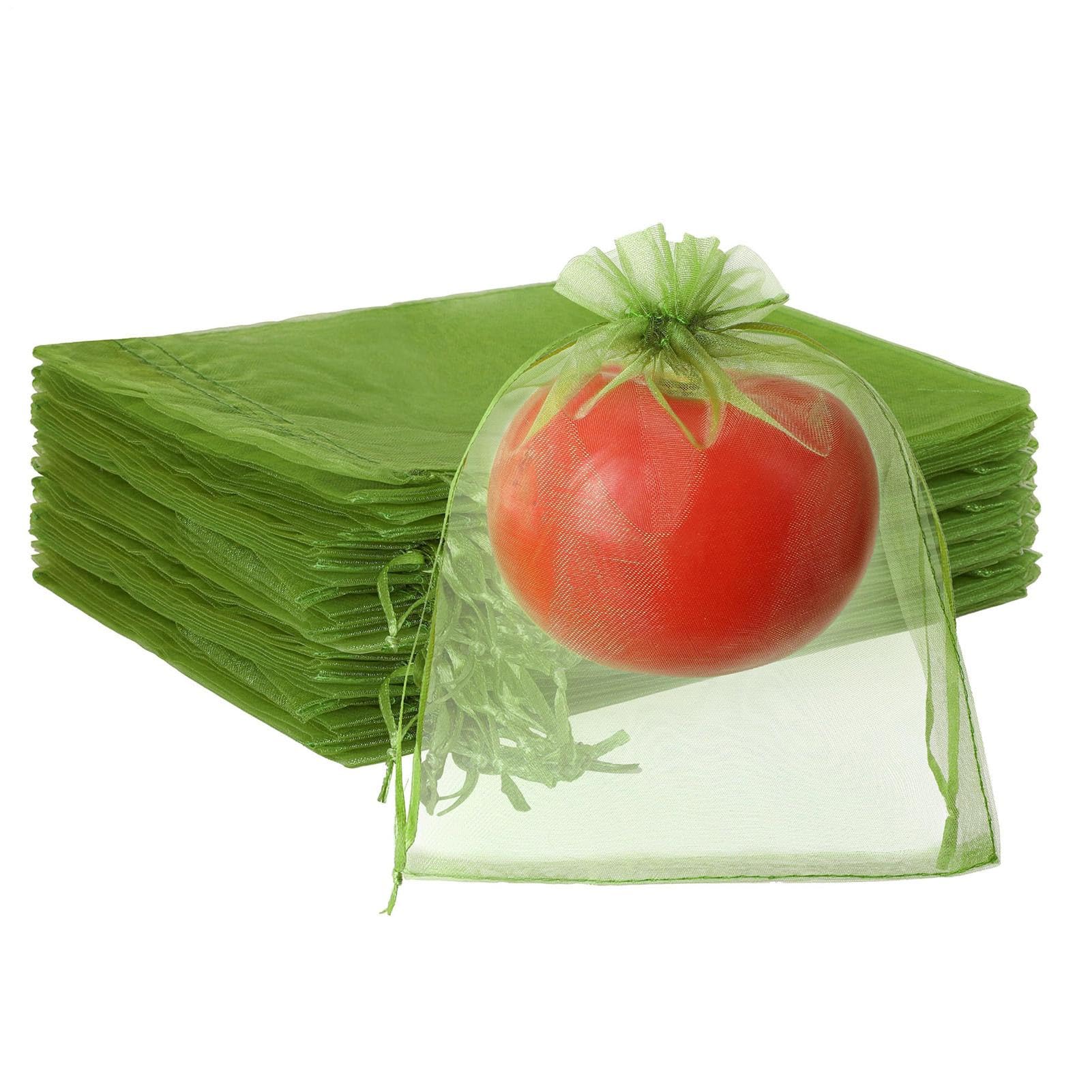 Sacs de protection pour fruits pour sauver vos tomates des oiseaux