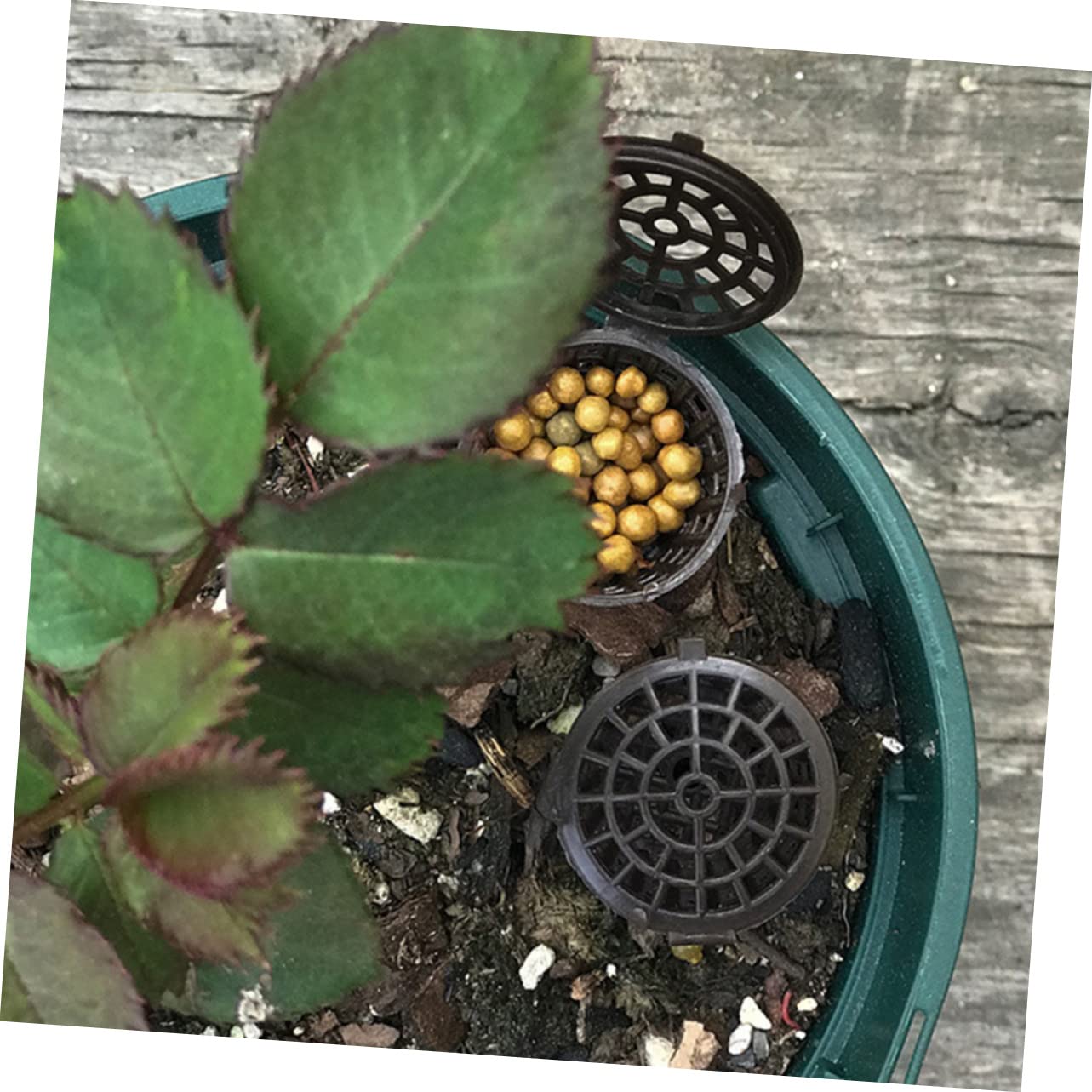 BESPORTBLE 150pièces Boîte De Fertilisation Avec Couvercle Pour Plantes Fleurs Et Bonsai Économiseur De Fertilisant Et Réutilisable