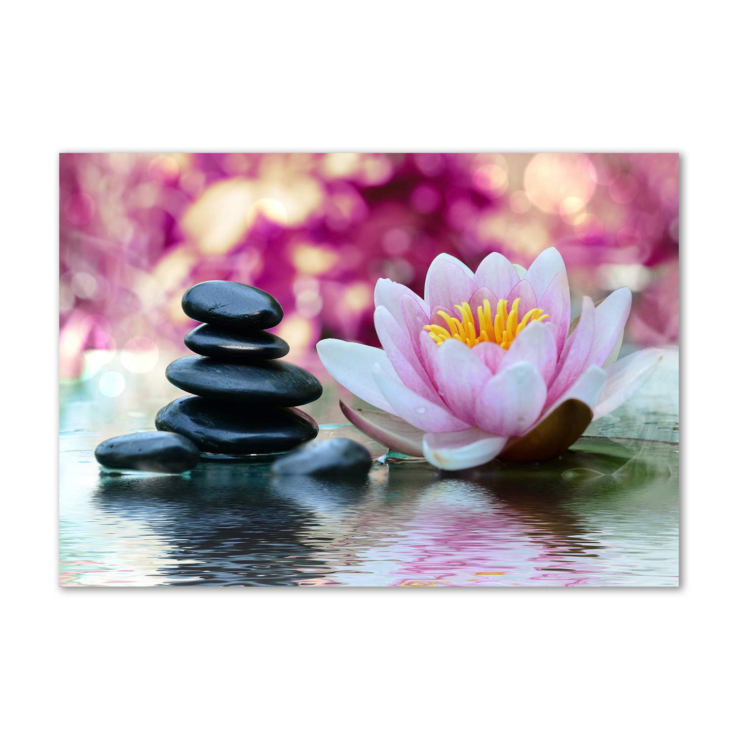 Acrylic glass picture flores y plantas pour mur décoratif rose