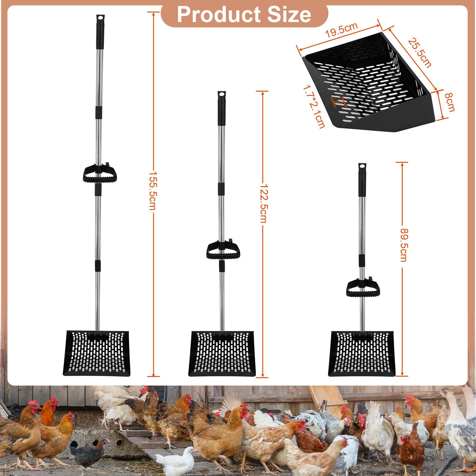 Paletta per escrementi di pollo larga 25,5 cm, Paletta per escrementi di pollo regolabile lunga 155 cm per la pulizia, Strumento per la pulizia del pollaio, Accessorio per pollaio
