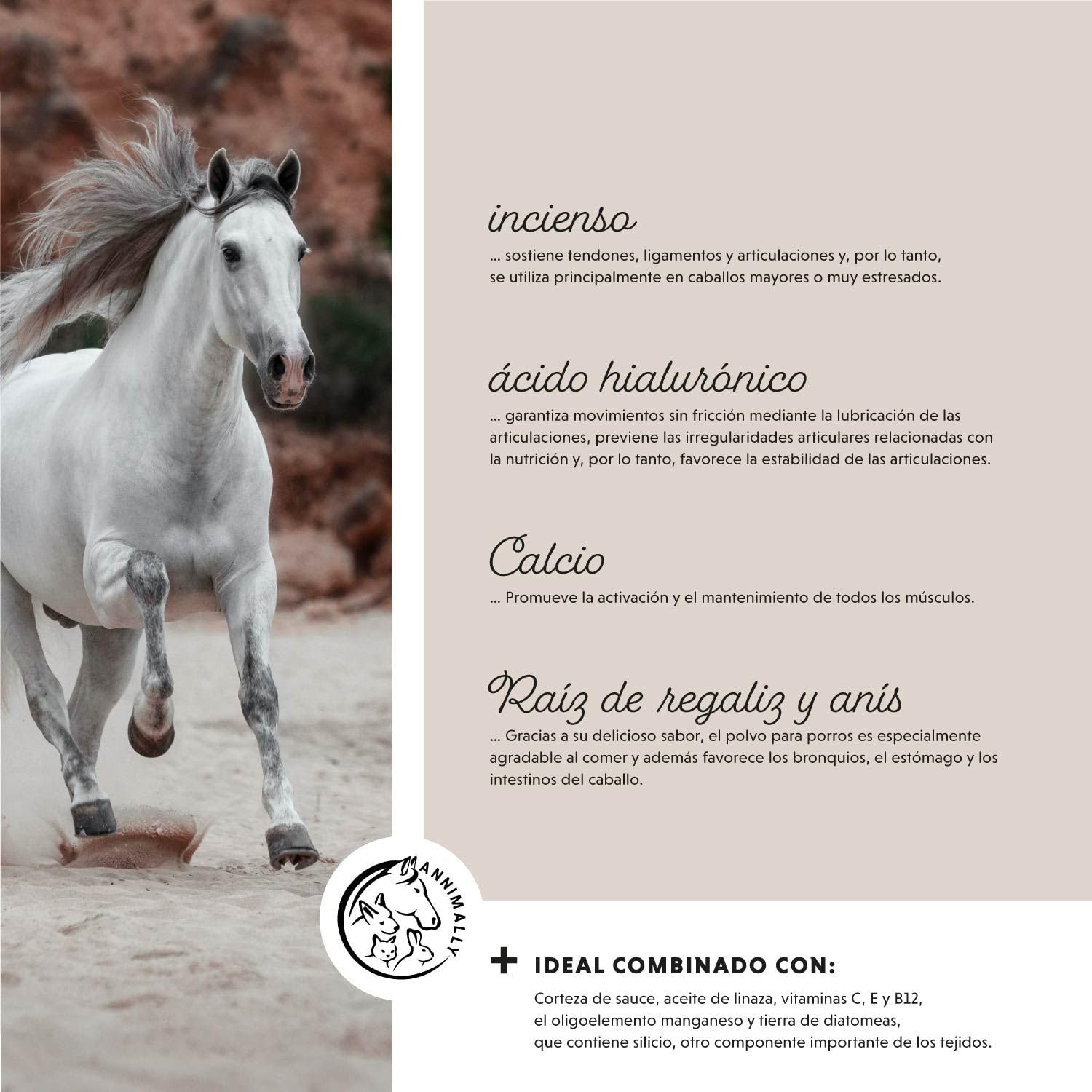 Polvo para articulaciones para caballos 850g con colágeno, manzanilla, MSM (azufre), glucosamina, ácido hialurónico, condroitina - Complemento alimenticio para fortalecer las articulaciones caballo