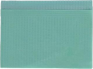 HSB 109236, Dental Patient Bibs – 3+1 Ply, Disposable, Waterproof & Highly Absorbent Dental Bibs for Clinics, and Medical Use, 13" x 18", Aqua, 500/Box