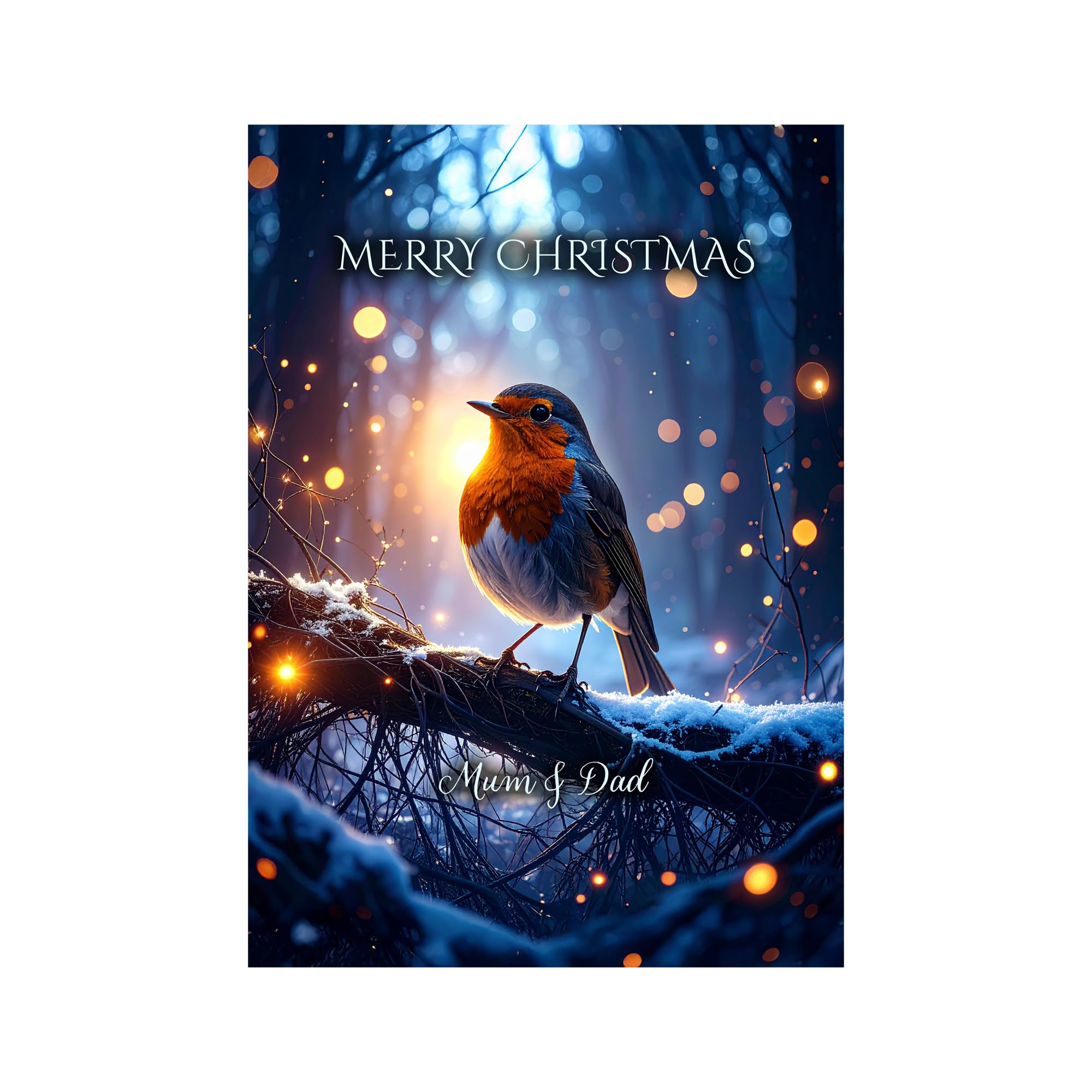 Robin Christmas Card for Mum and Dad, Parents, Mother, Father – Peaceful Robin Perched on a Frosted Branch, A5 Luxury Greeting Card with a Special Verse Inside: Mum and Dad Christmas Card