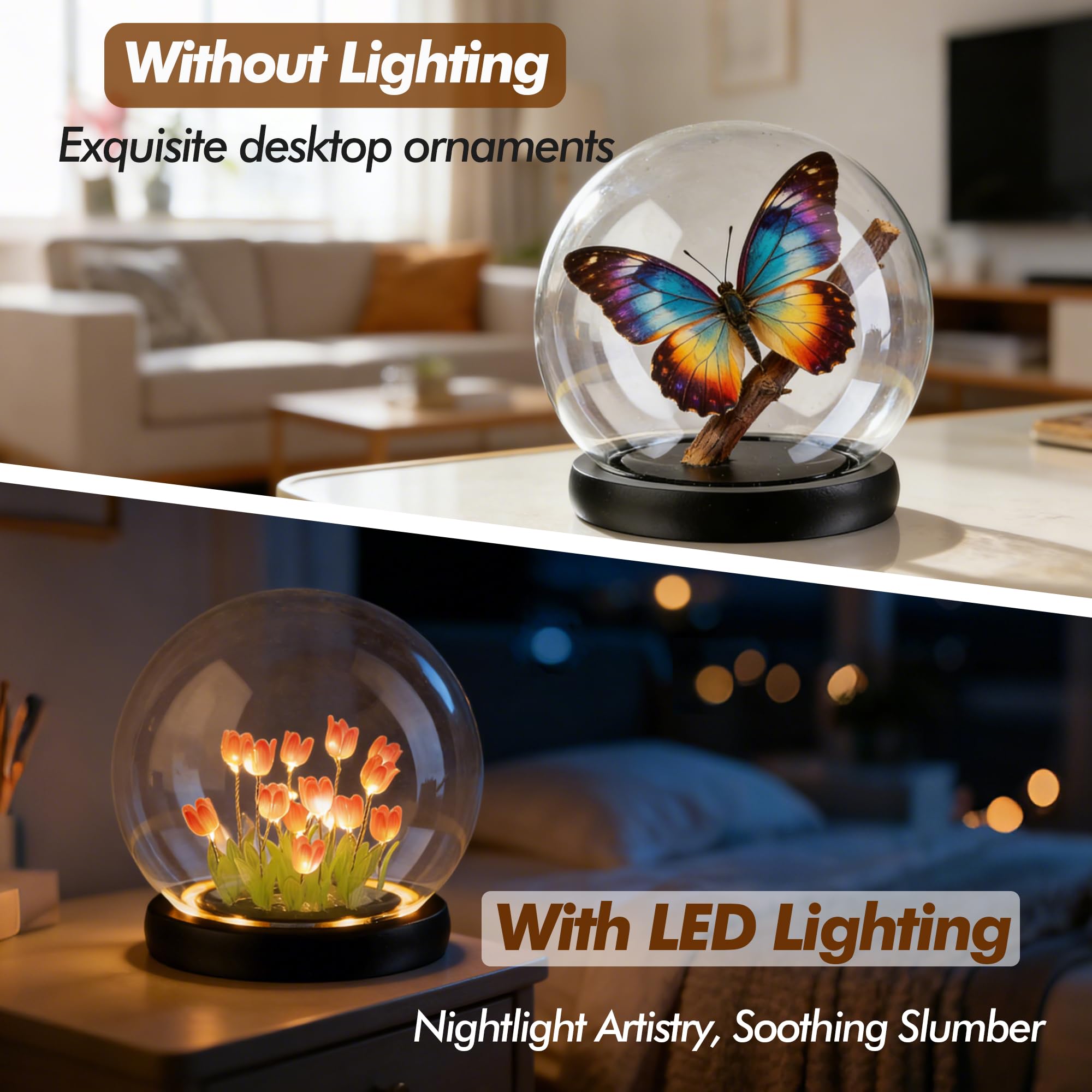 Campana de cristal redonda de 6 pulgadas con base de luces LED negras, tarro de campana de vidrio decorativo para plantas, recuerdos coleccionables