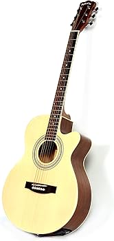 Amazon | Sepia Crue セピアクルー エレアコギター EAW-01/N