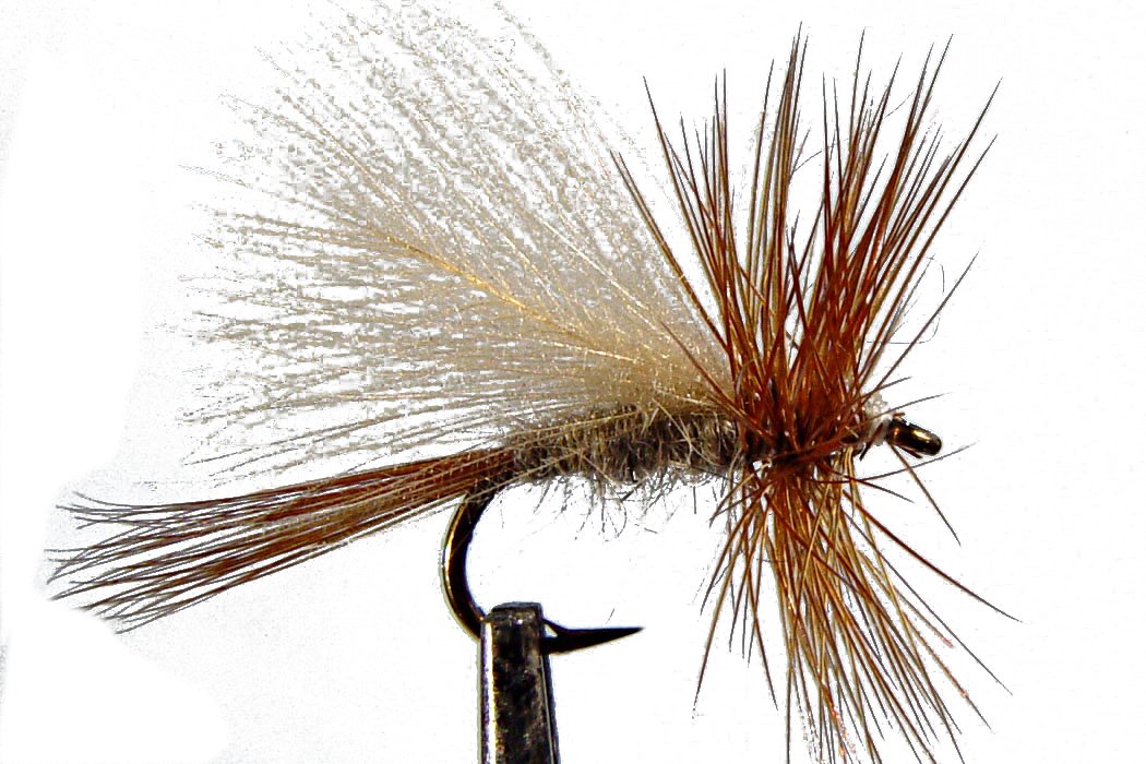 1 x mosca secca - SEDGE ORECCHIO LIEVRE - pesca alla trota - H18