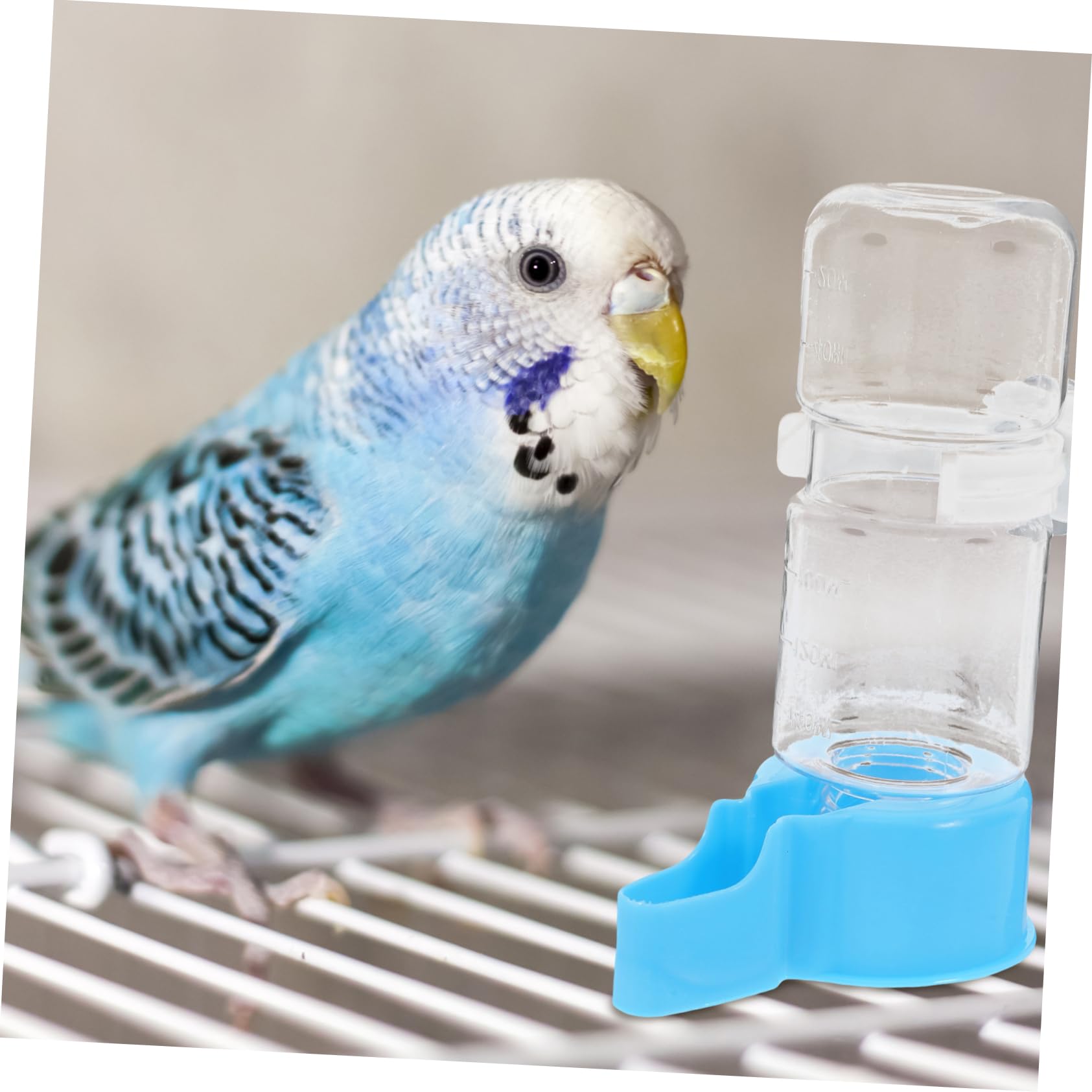Hemobllo 5 Set Fontana Per Bere Per Pappagalli Ciotola Per L'Acqua Del Cane Gazebo Mangiatoia Per Uccelli Trasparente Distributore D'Acqua Per Gabbia Distributore 2 pezzi*5