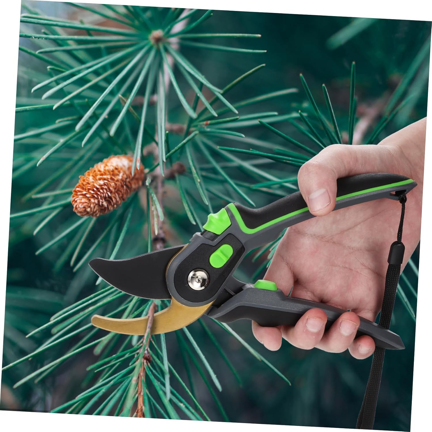 Mikikit 2pcs Gardening Trimming Tools Pruning Shears Long Handles Plant Trimmer Scissors Garden Hand Tool for Trees Flowers