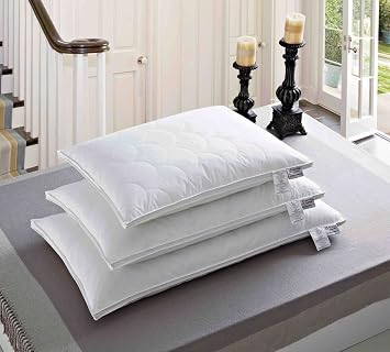 Natural Comfort Quilted Feather Billow Pillows, Standard, White
