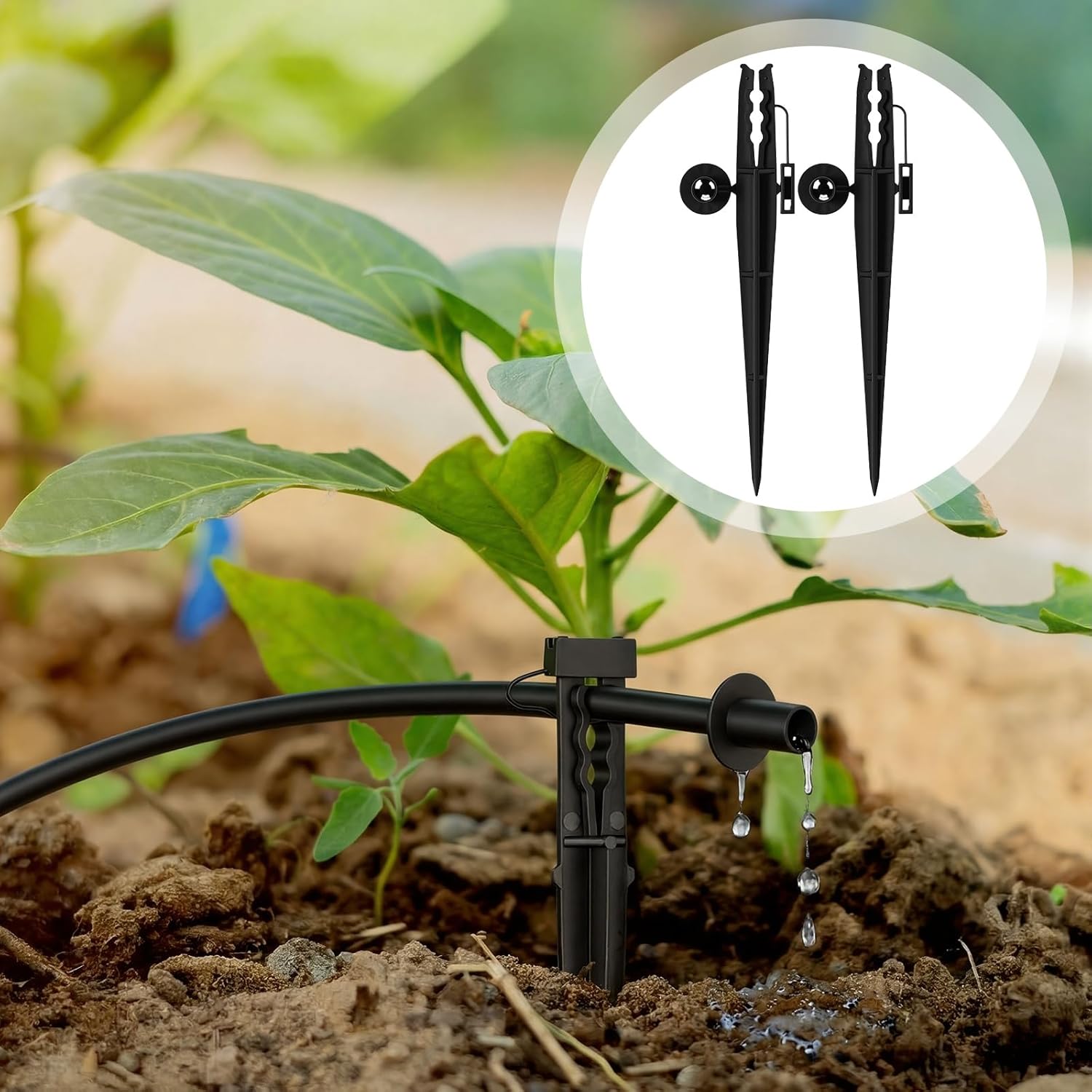 50 Pcs Irrigation 1/4" Tubing Stake with Bug Cap Diffuser and Locking Cap Black Irrigation Support Stakes Drip Stakes Tubing Hose Stake for Micro Sprinkler Gardens Supplies
