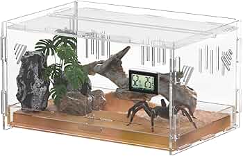 71VcgpBuEaL._AC_UF350, 71VcgpBuEaL._AC_UF350,