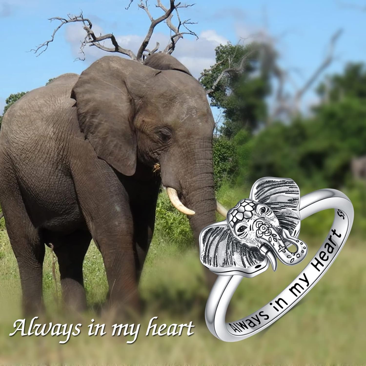 POPLYKE Urn Ring for Ashes Sterling Silver Cremation jewelry Rings For Ashes Of Loved Ones Memorial Keepsake With Filling Tool