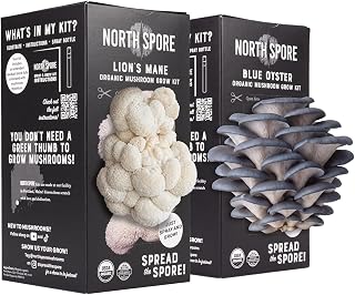 North Spore blue oyster and lion's mane mushroom grow kit combo