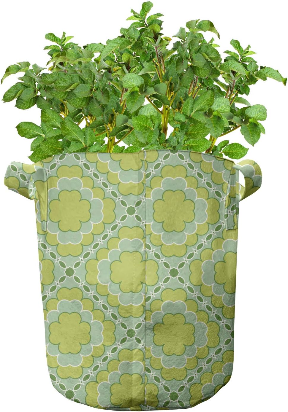 Ambesonne Mosaic Grow Bags 5-Pack, Floral Vintage Monochrome, Heavyduty Fabric Pots with Handles for Plants, Yellow Green Green