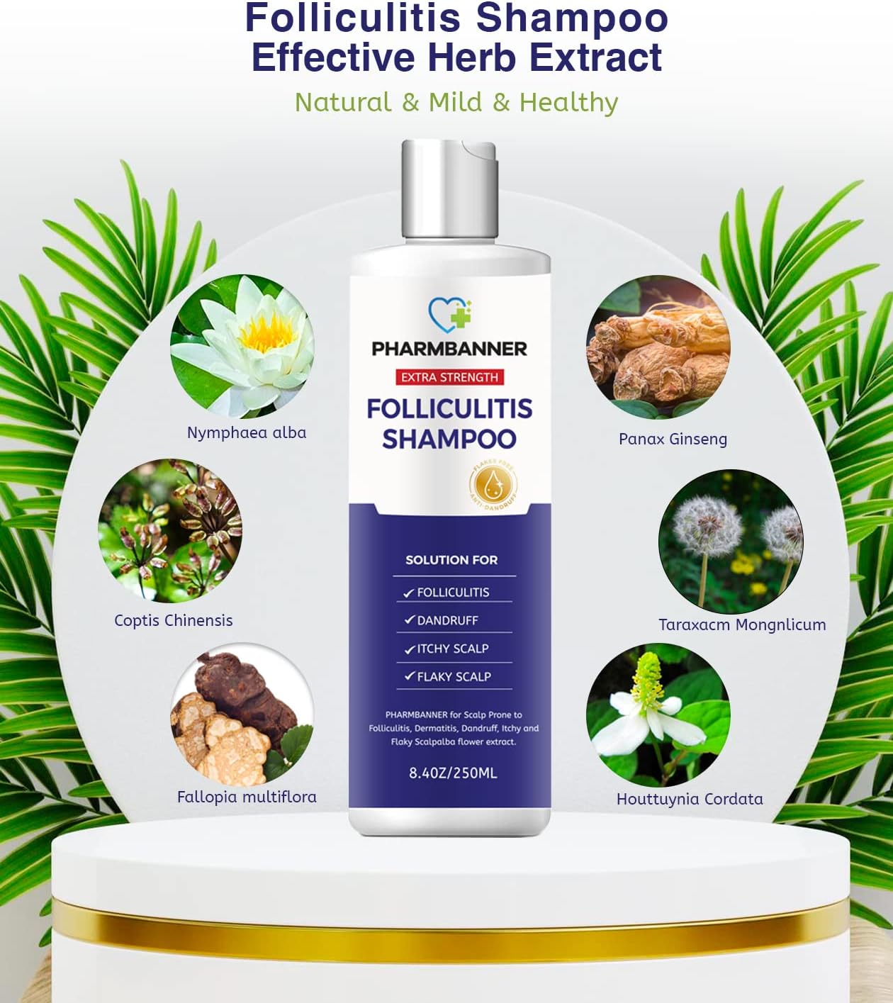 Folliculitis Shampoo, Seborrheic Dermatitis Shampoo, Anti Dandruff