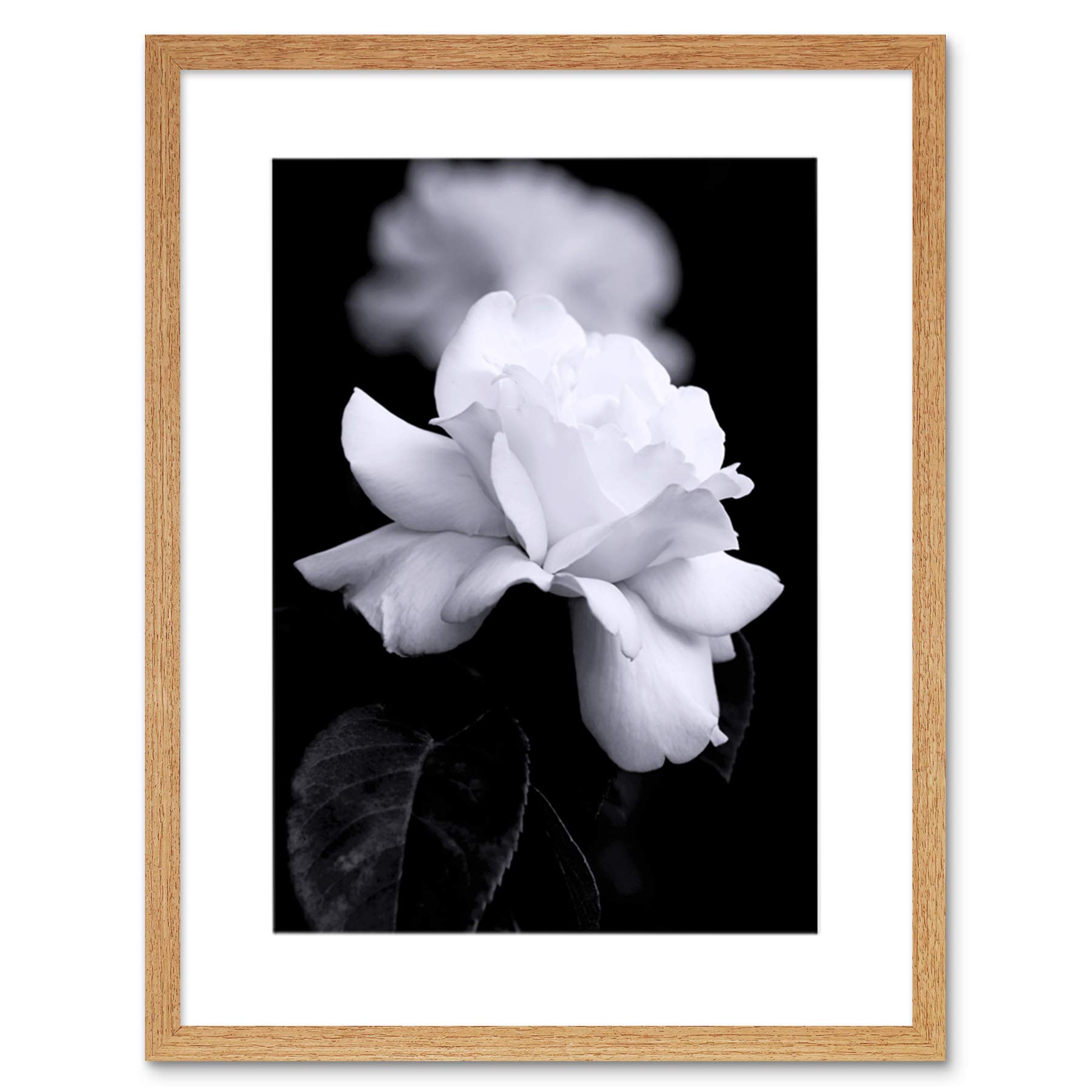 Wee Blue Coo Photo Nature Black White Rose Petal Flower Framed Wall Art Print