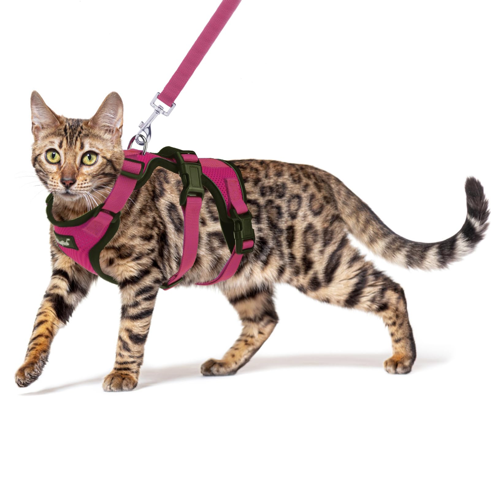 PUPTECK Cat Harness and Leash Set Escape Proof for Walking, Breathable Mesh Vest Adjustable Harness for Cats Puppy Small Animals, Reflective at Night,